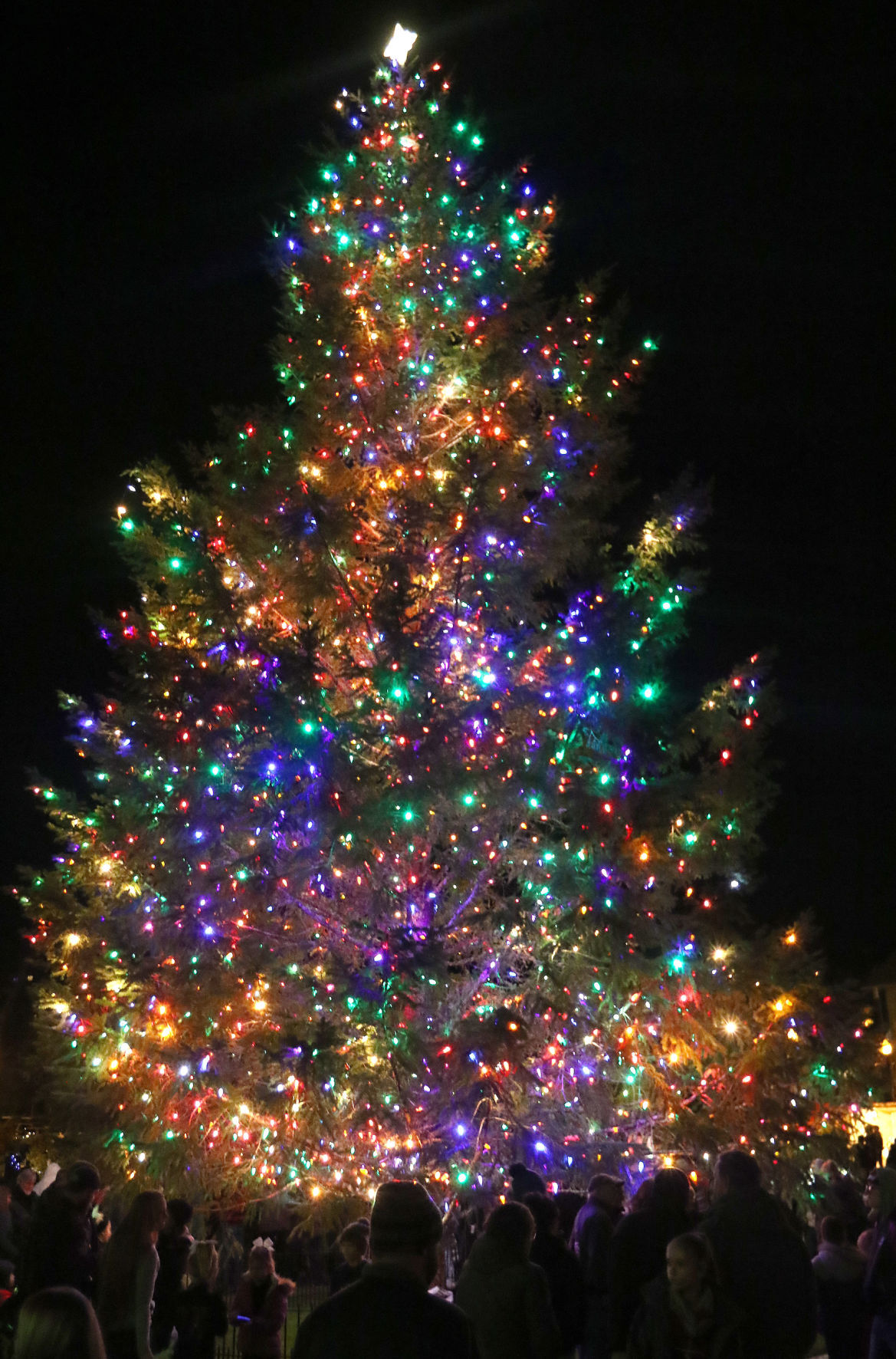 181202-nrr-treelighting-05